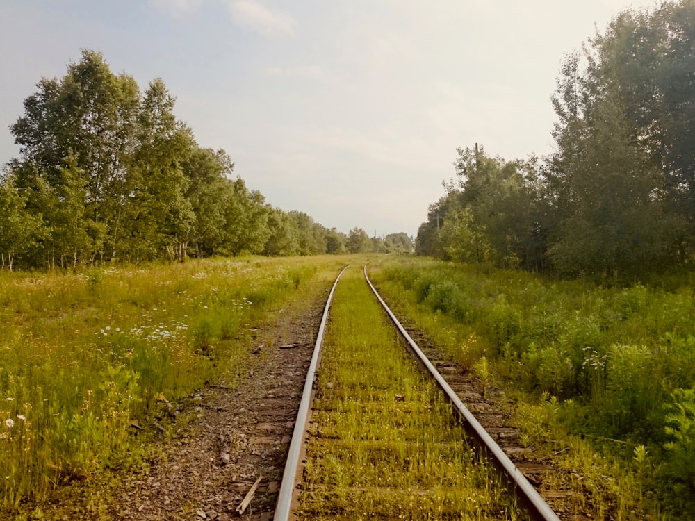train rail between green grass field during daytime