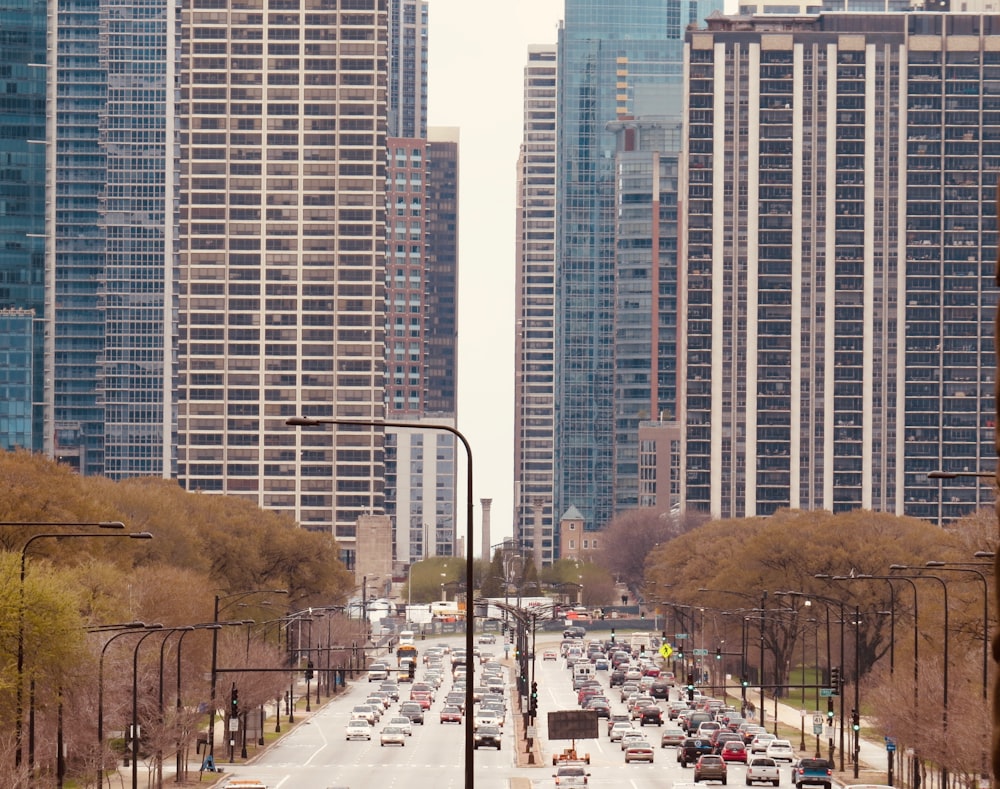 cars on road near high rise buildings during daytime