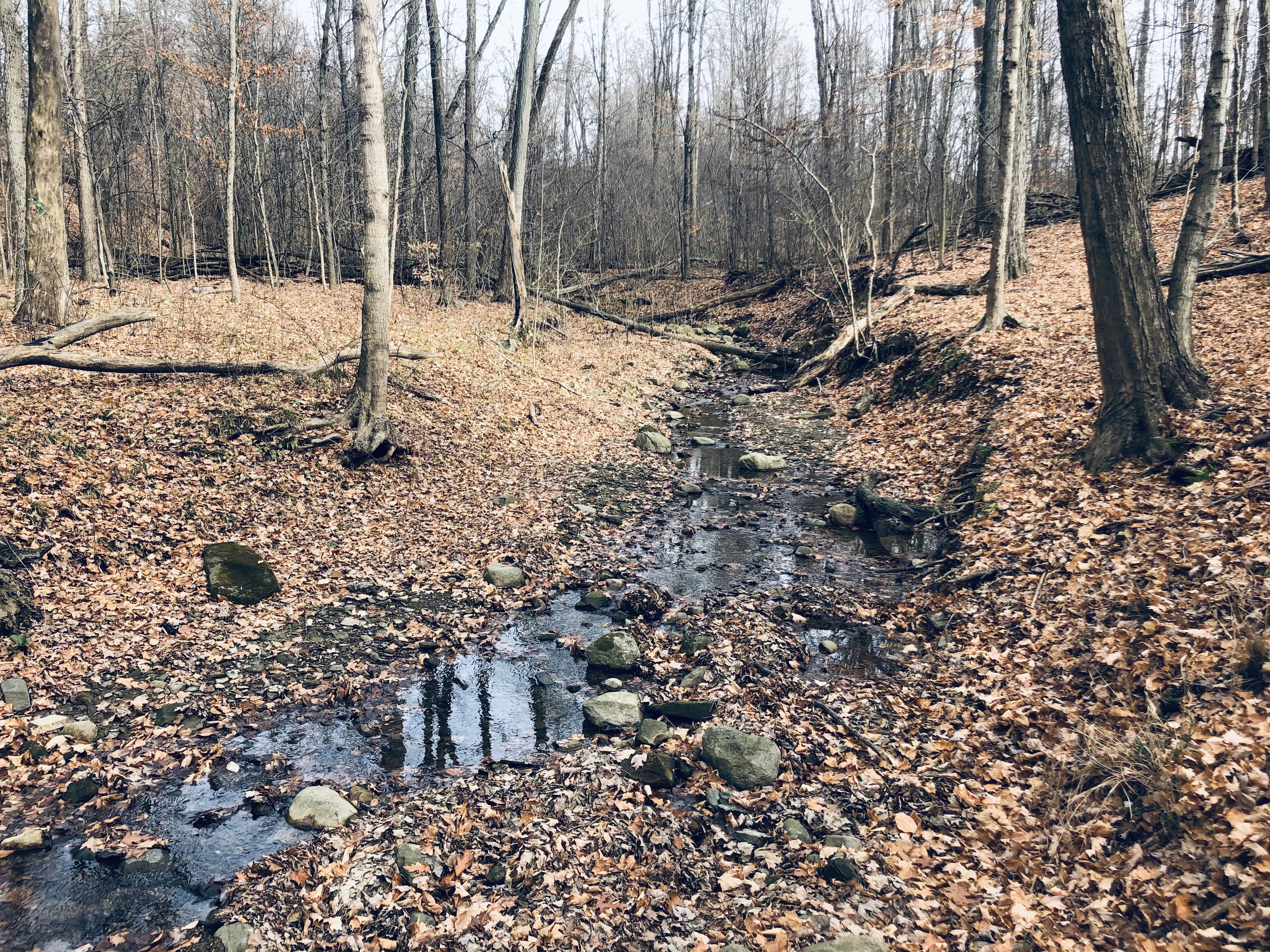 Photo by cacklingskeleton