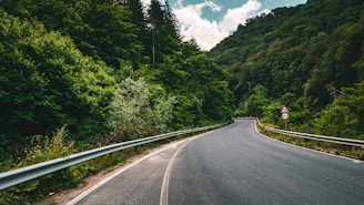 gray concrete road between green trees under blue sky during daytime