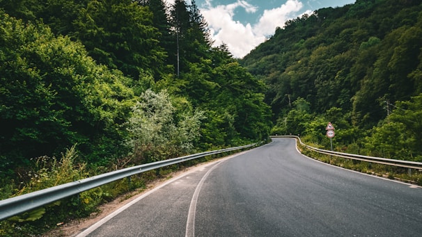 gray concrete road between green trees under blue sky during daytime