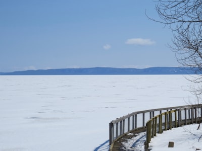 brown wooden dock on snow covered ground during daytime massachusetts bay colony zoom background