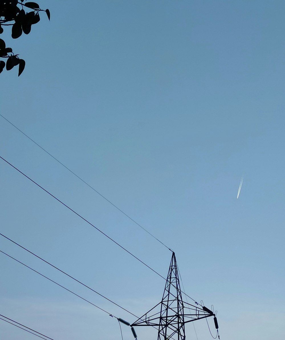 black bird flying on the sky during daytime