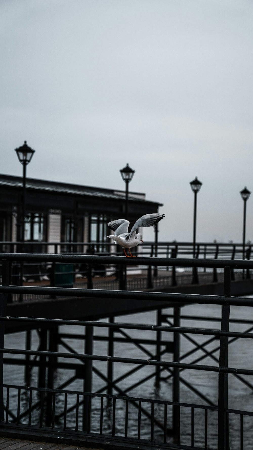 man in white shirt and black pants sitting on bench near body of water during daytime