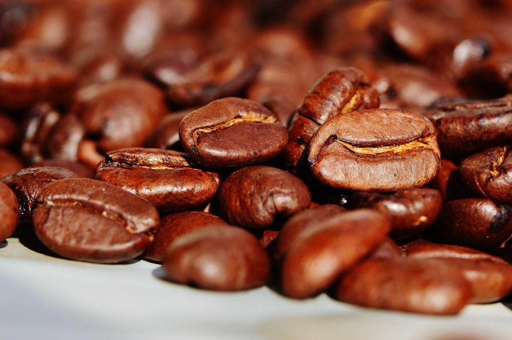 granos de café marrón en plato de cerámica blanca