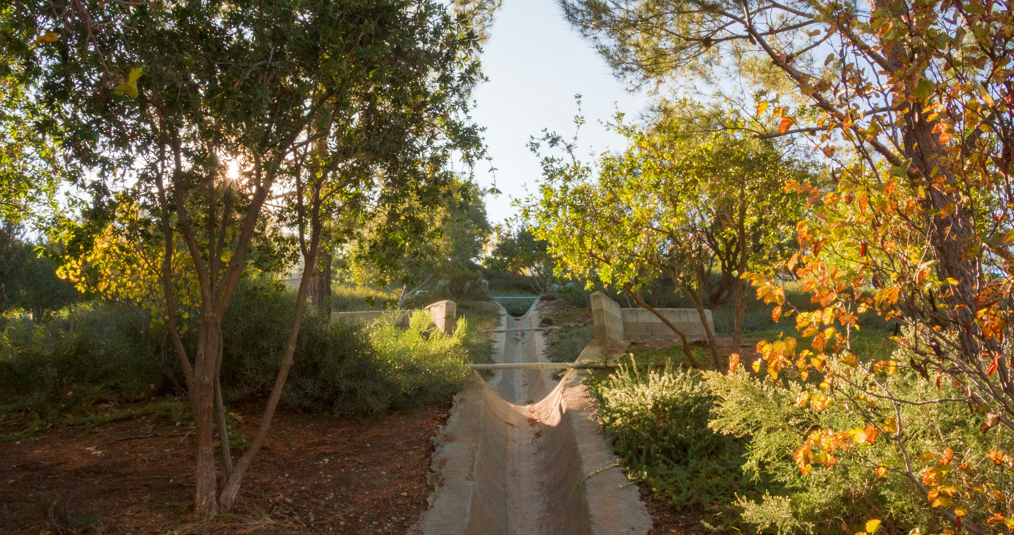 Photo by _nickwright_