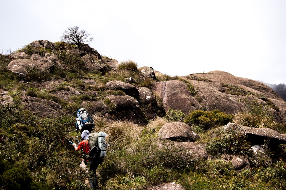 people hiking on mountain during daytime