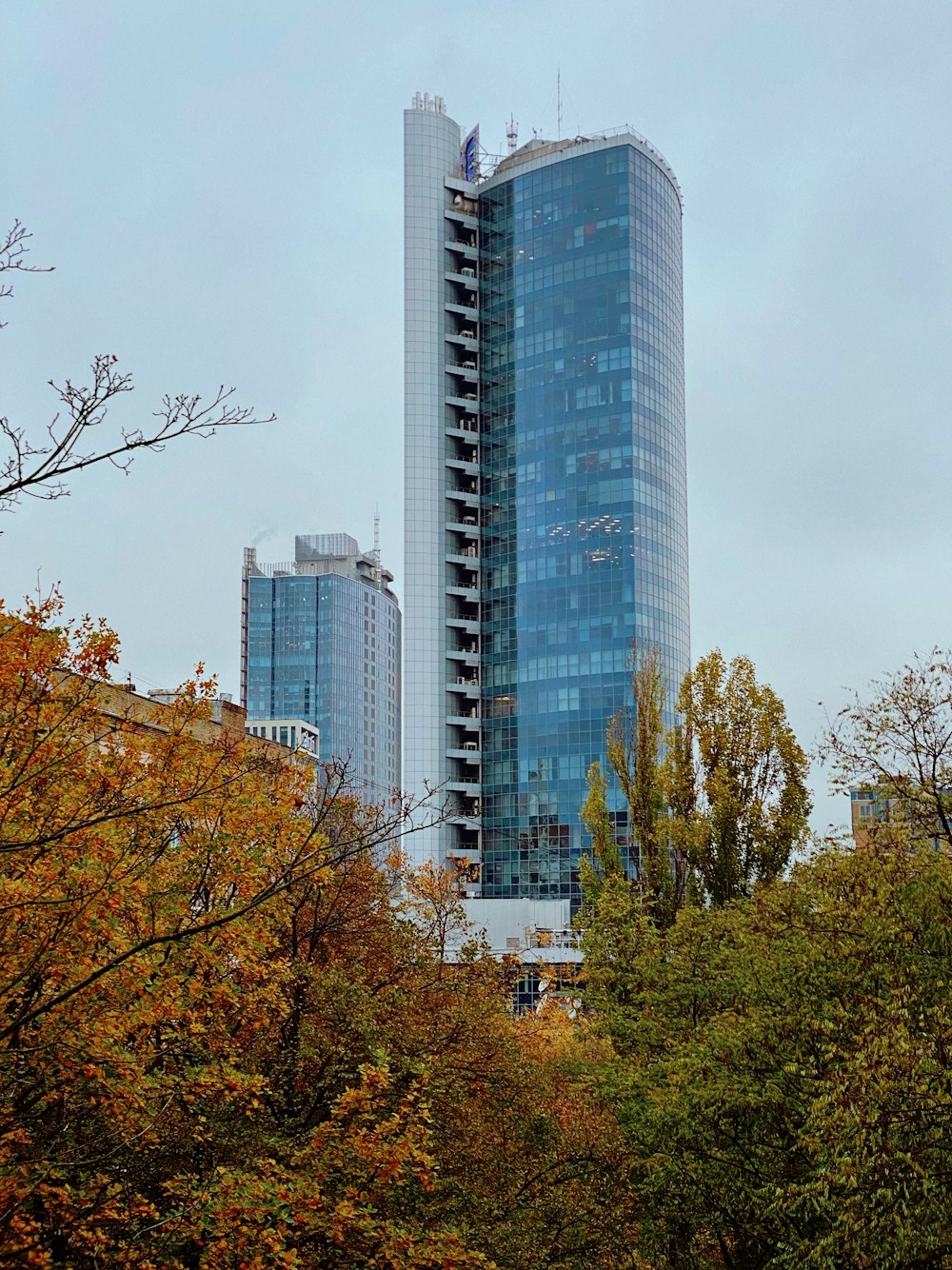 green and brown trees near high rise buildings during daytime