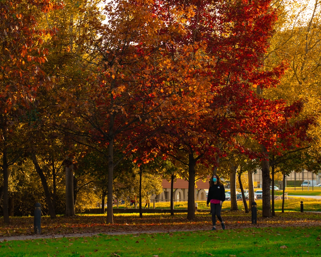 Parque Verde spot for road trip in Lisbon