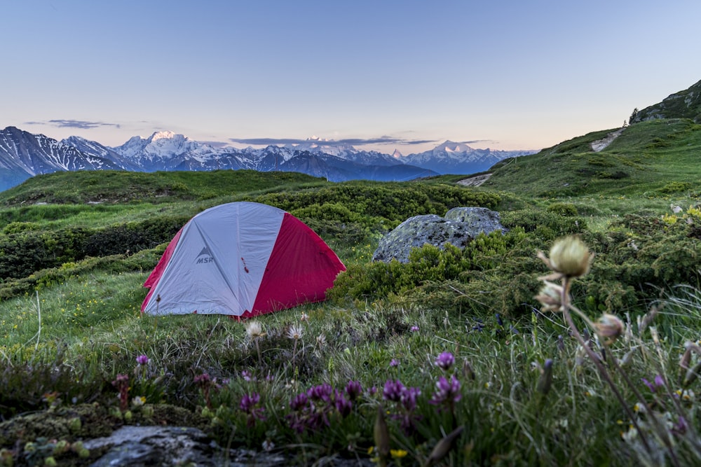 red tent on green grass field during daytime