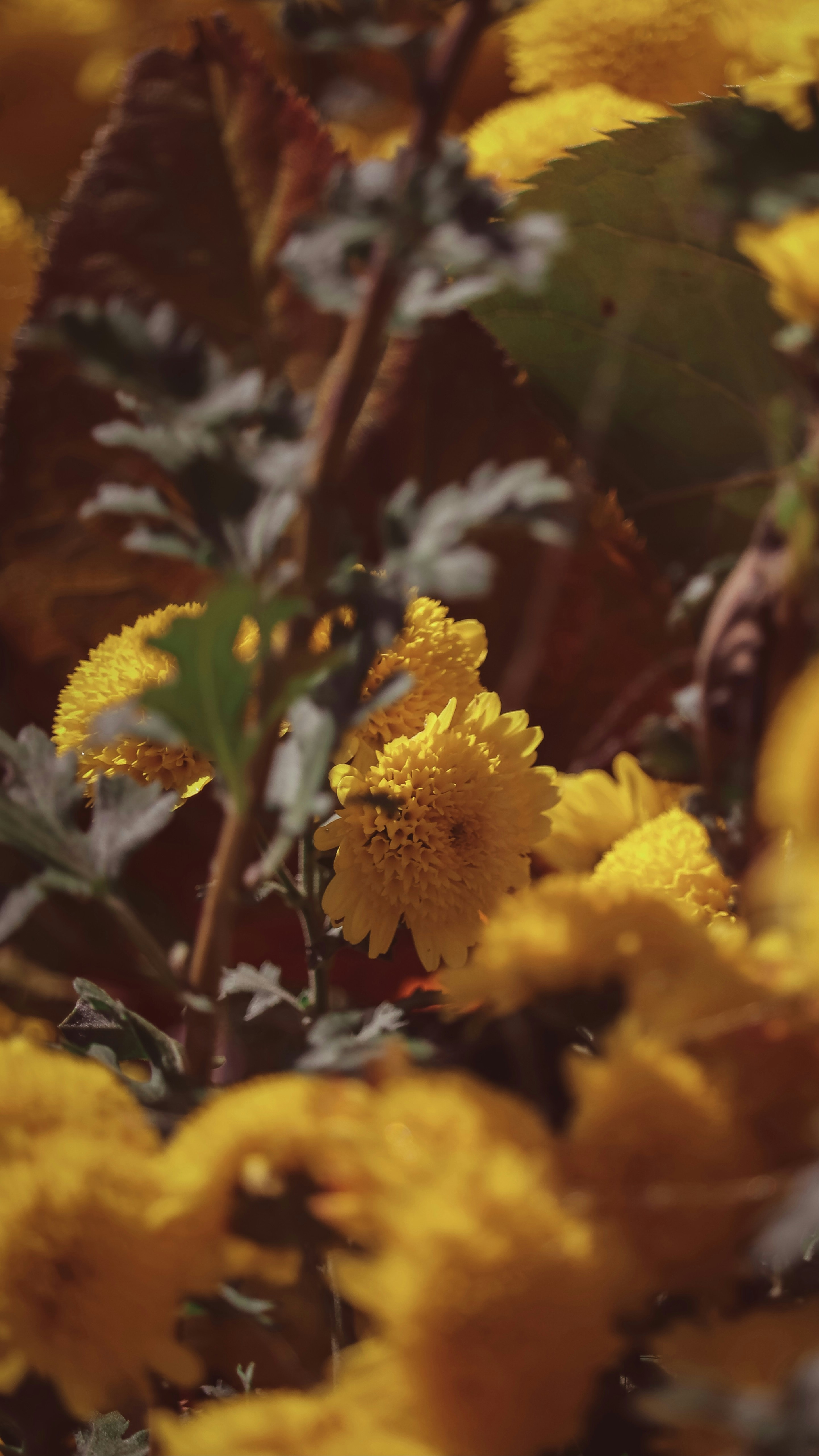 Photo by create4eyes