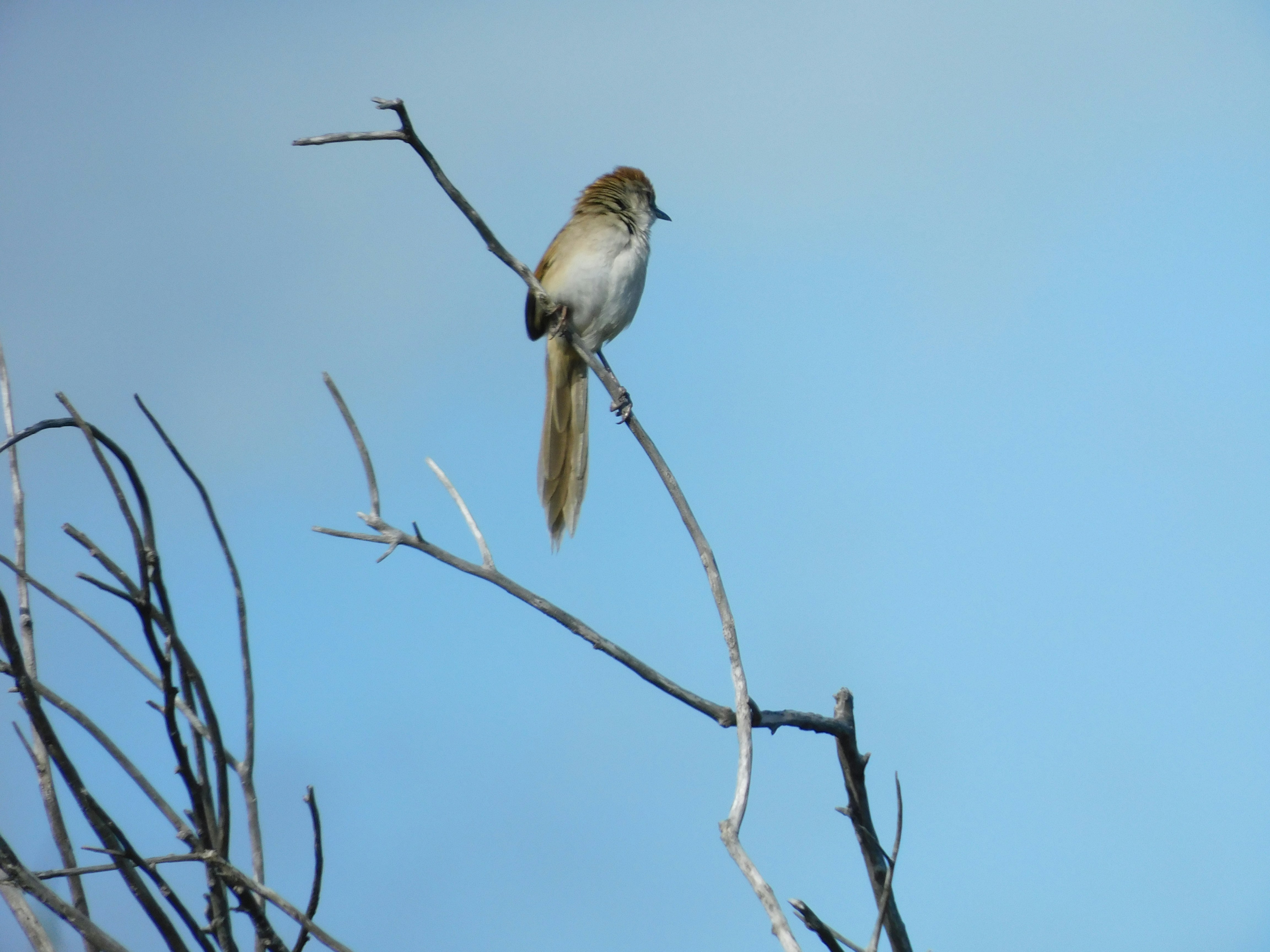 Photo by allaboutanimals