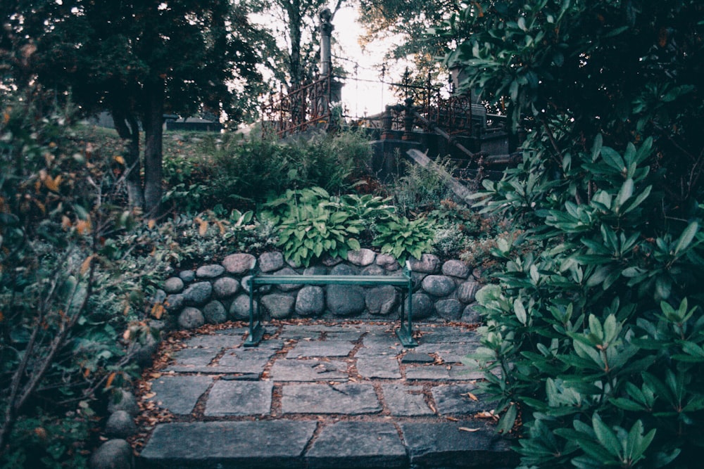 green plants on brown brick floor