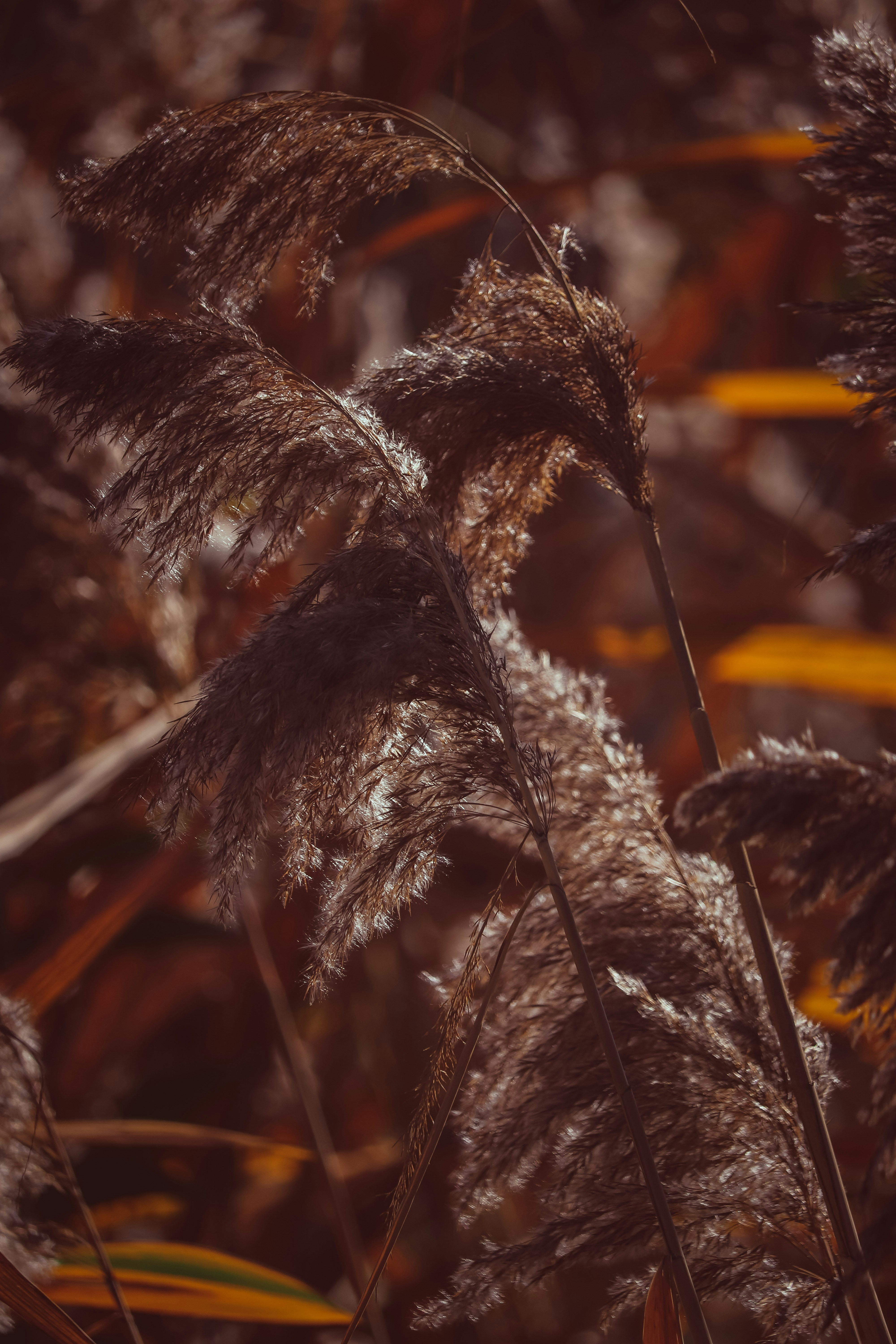 Photo by create4eyes