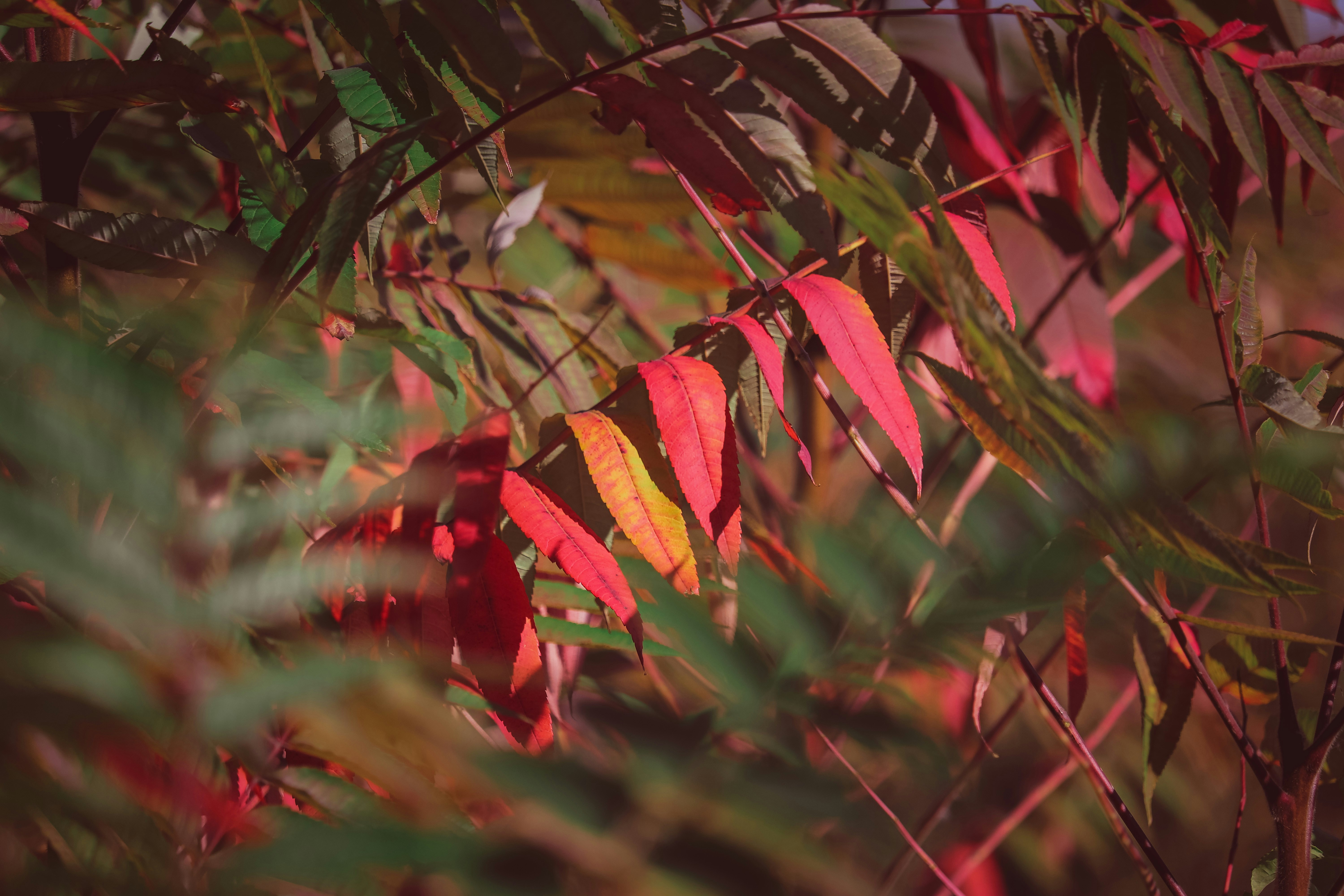 Photo by create4eyes