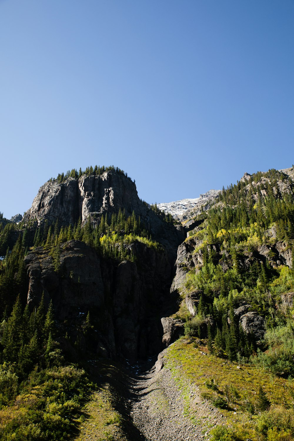 green trees on mountain under blue sky during daytime