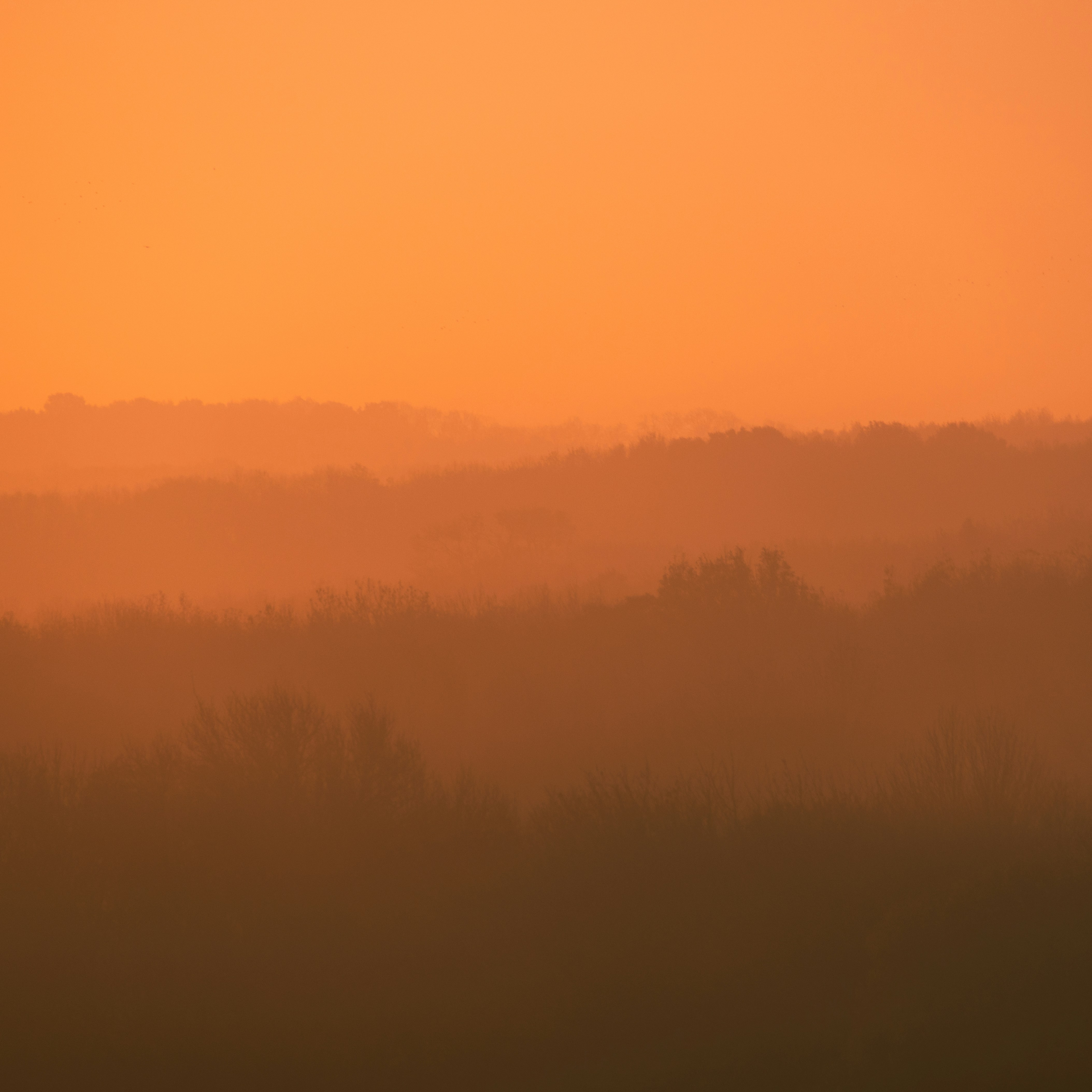 blue sky with white clouds
