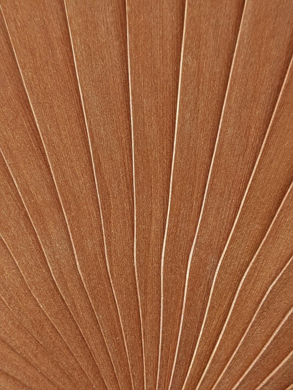 brown and white striped textile