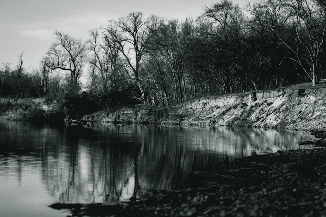 grayscale photo of trees near river