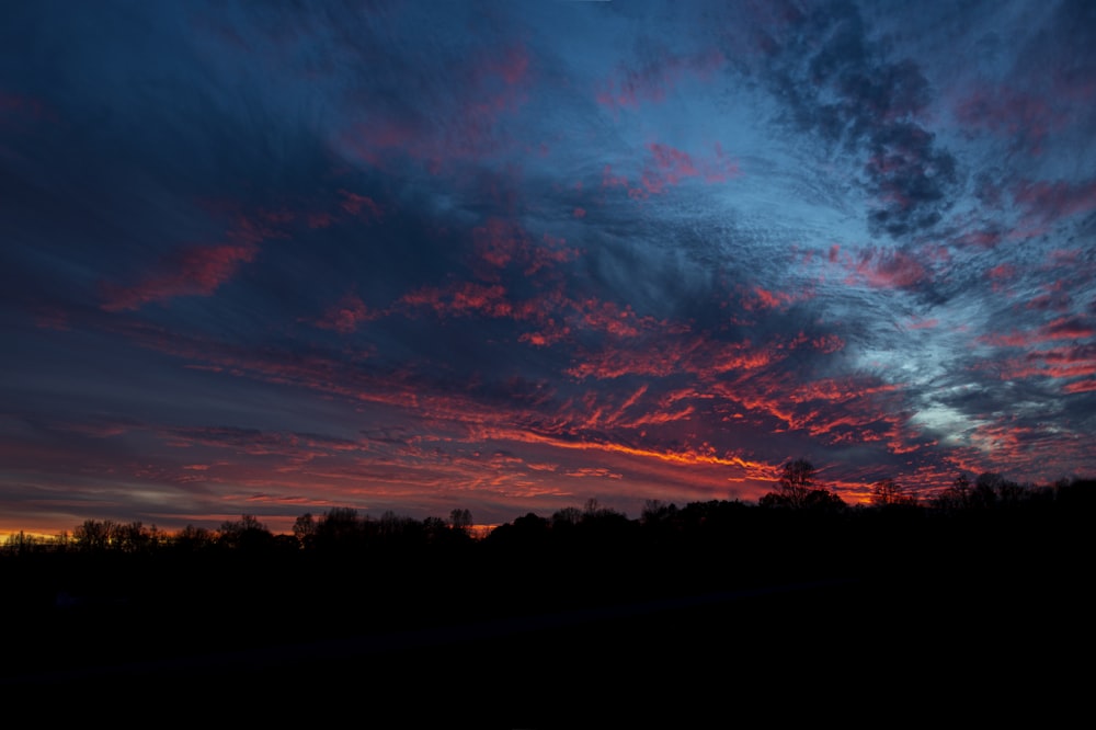 Silueta de árboles bajo cielo nublado naranja y azul durante la puesta del sol