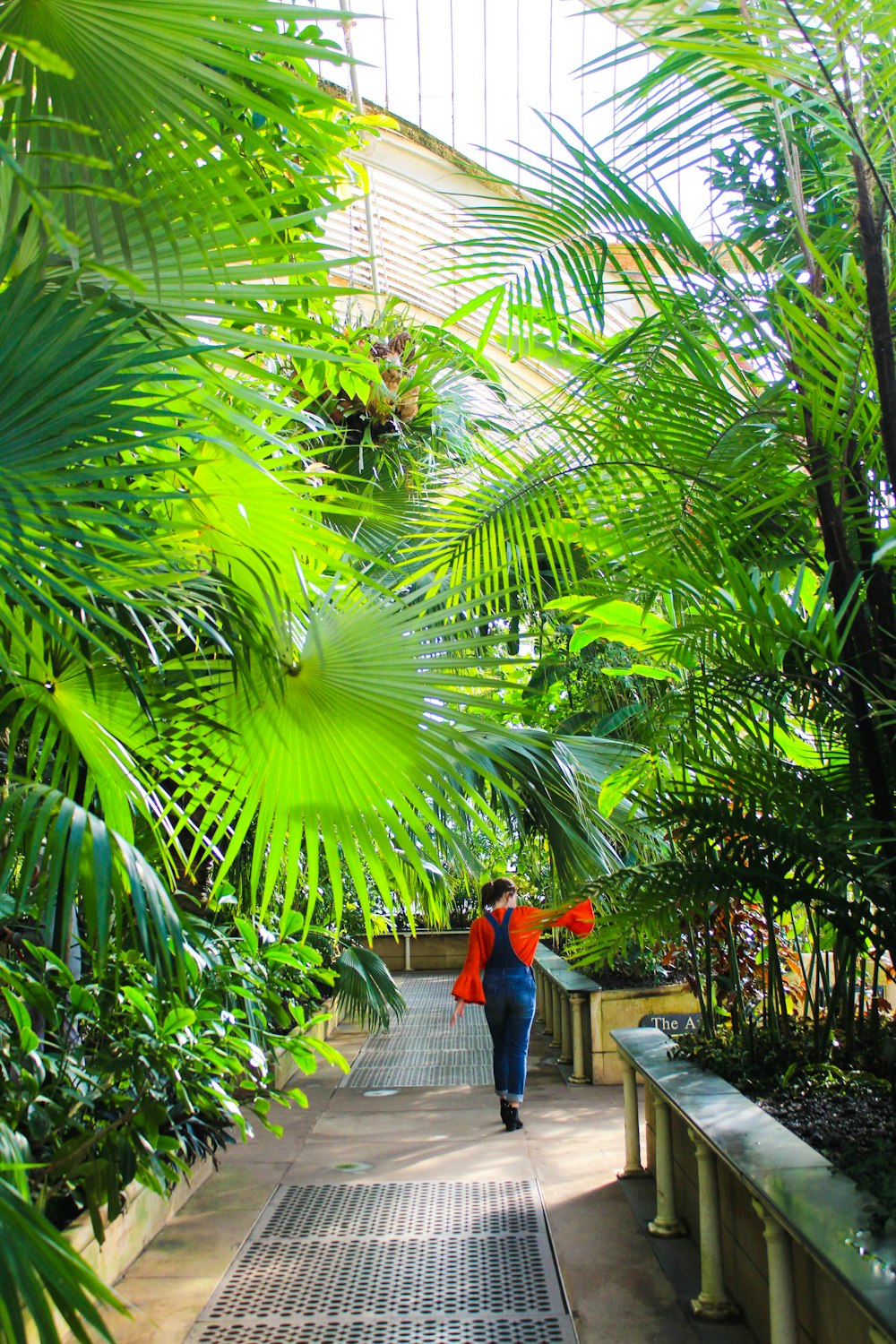 woman in red dress walking on pathway surrounded by palm trees