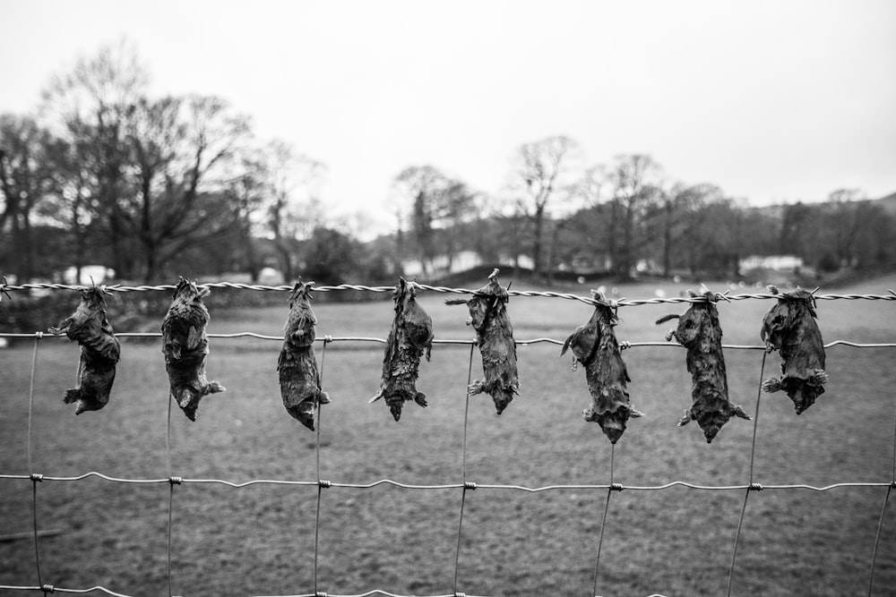Graustufenfoto einer Gruppe von Menschen, die am Seil hängen