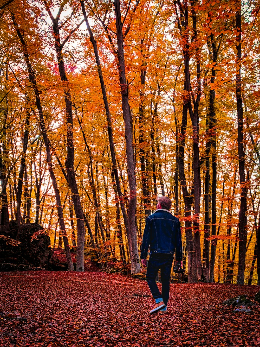 man in black jacket standing on brown dried leaves in the woods during daytime