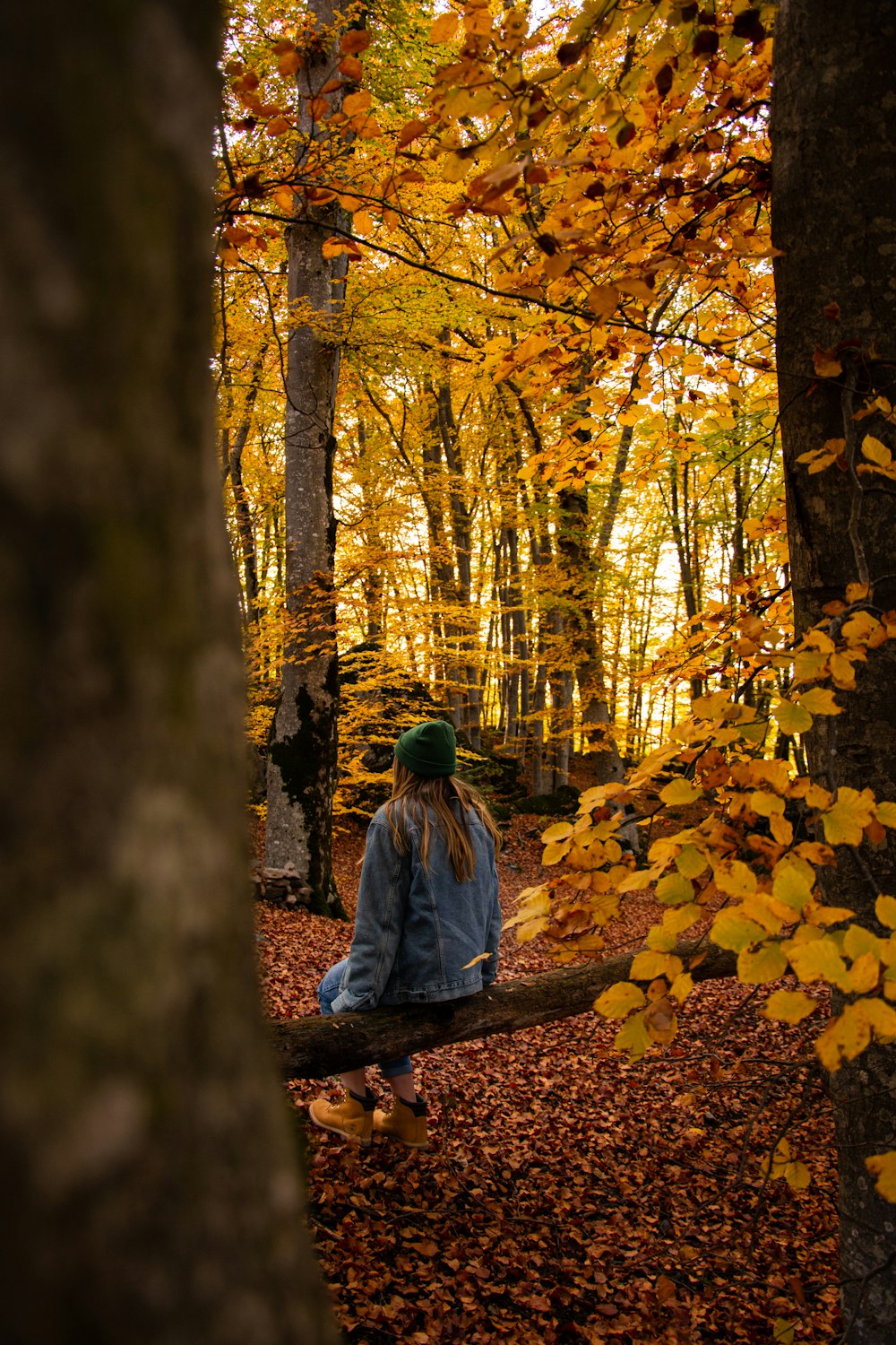 woman in gray jacket sitting on brown wooden bench surrounded by trees during daytime