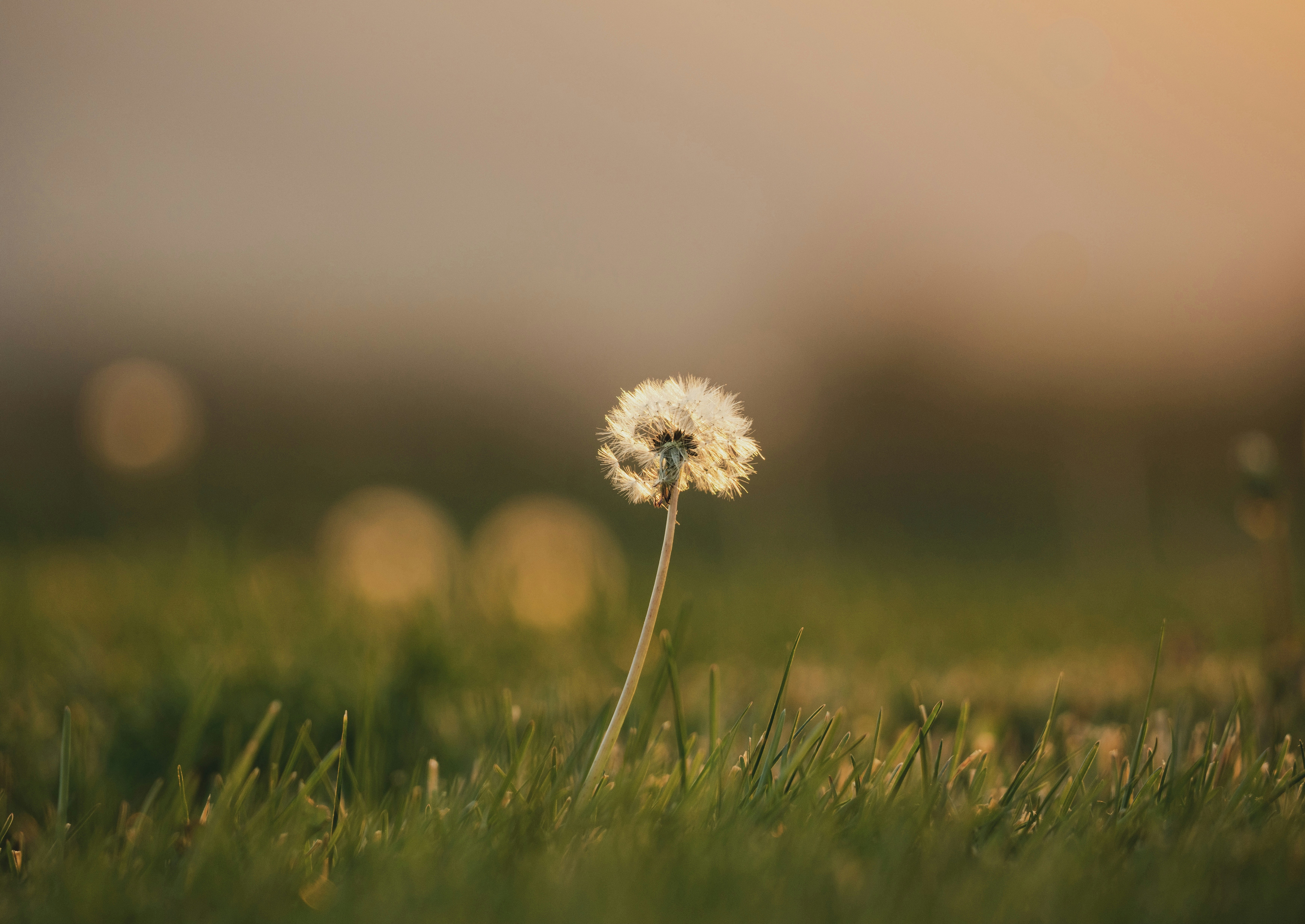 Photo by itworkonline