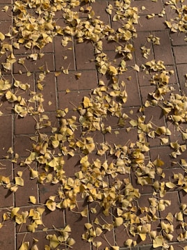 A freshly cleaned and sealed brick patio surrounded by autumn leaves, showcasing seasonal care.