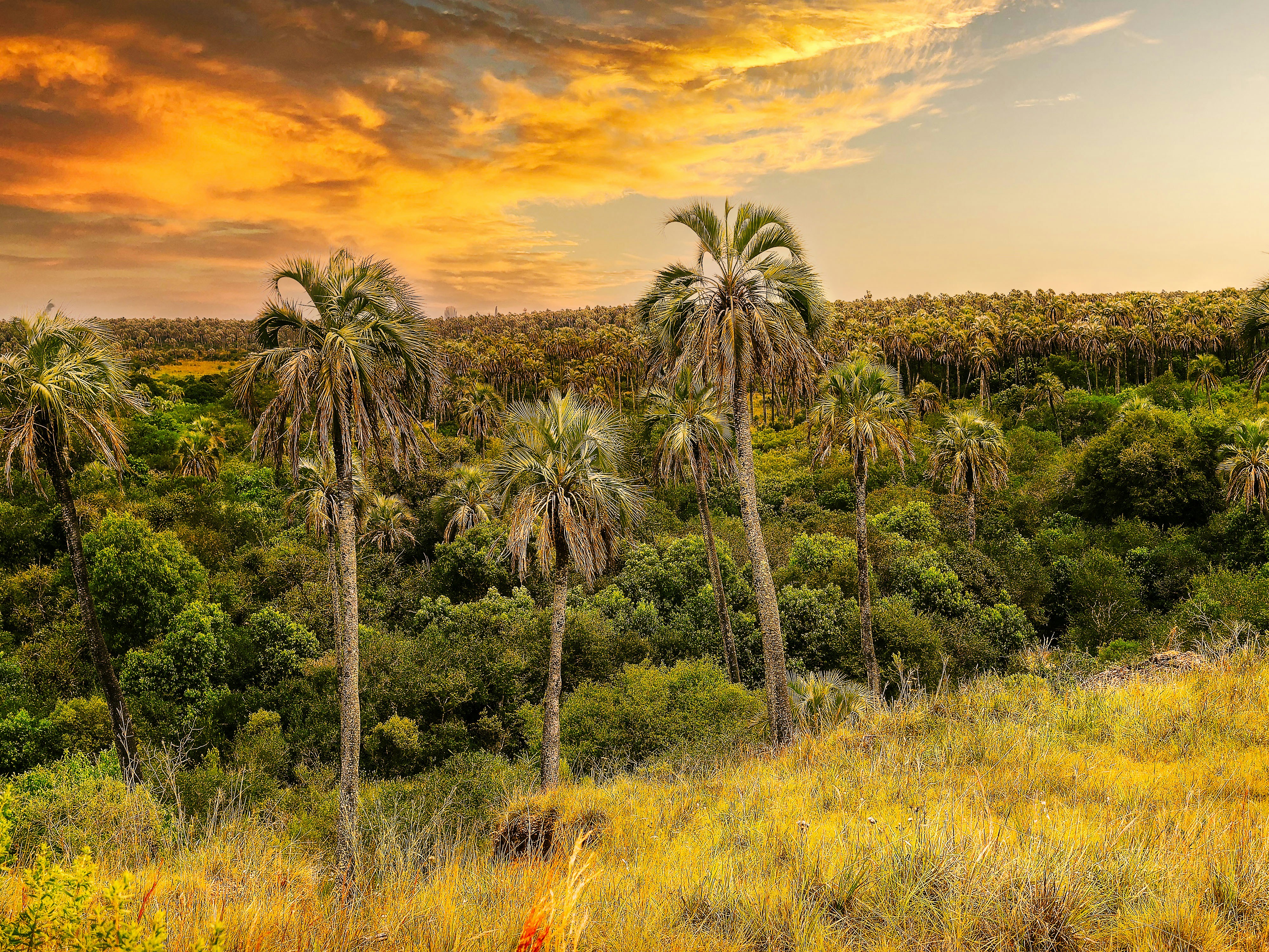 El Palmar, Entre Ríos, Argentina