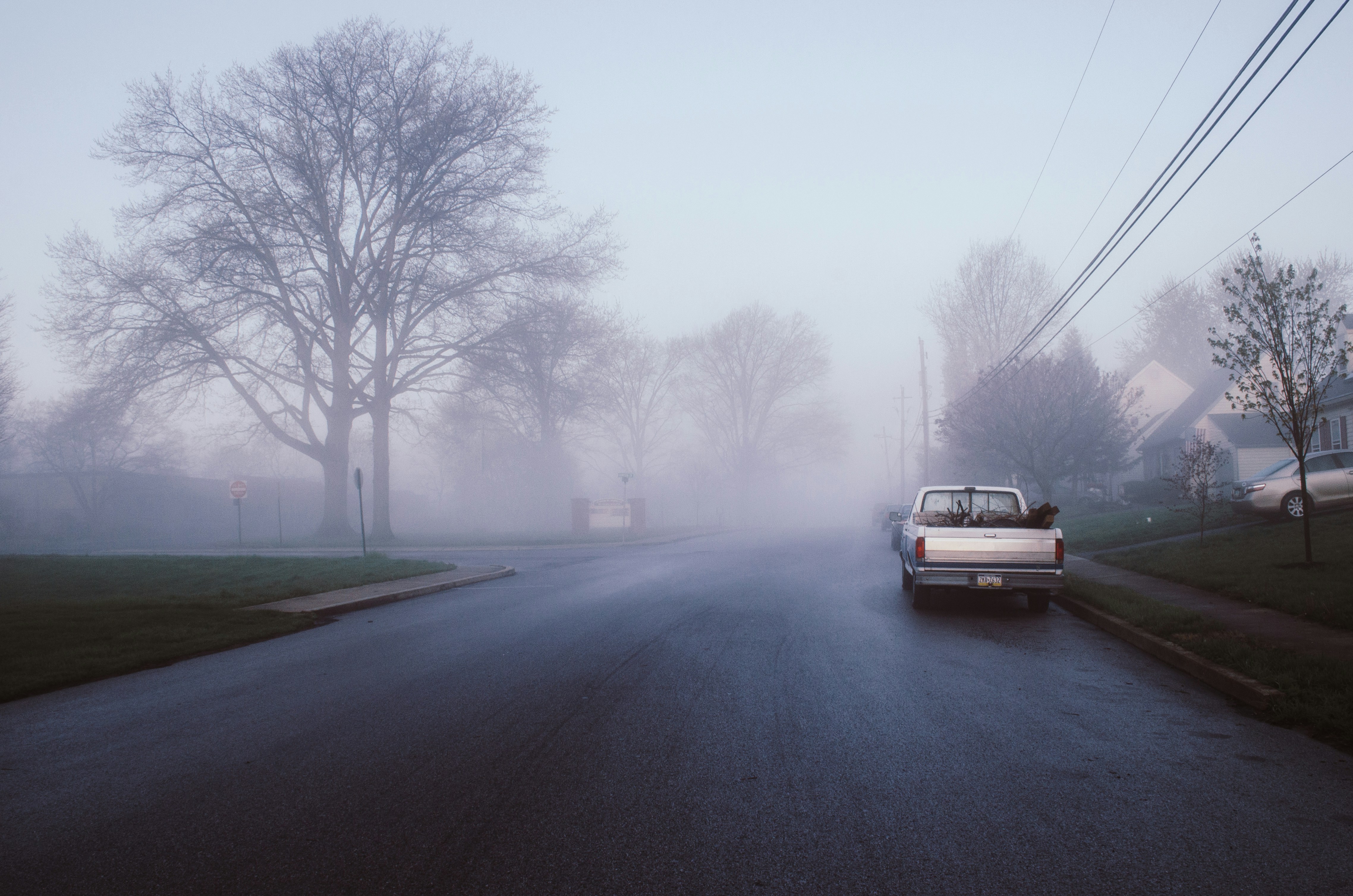 white car on road between bare trees during daytime
