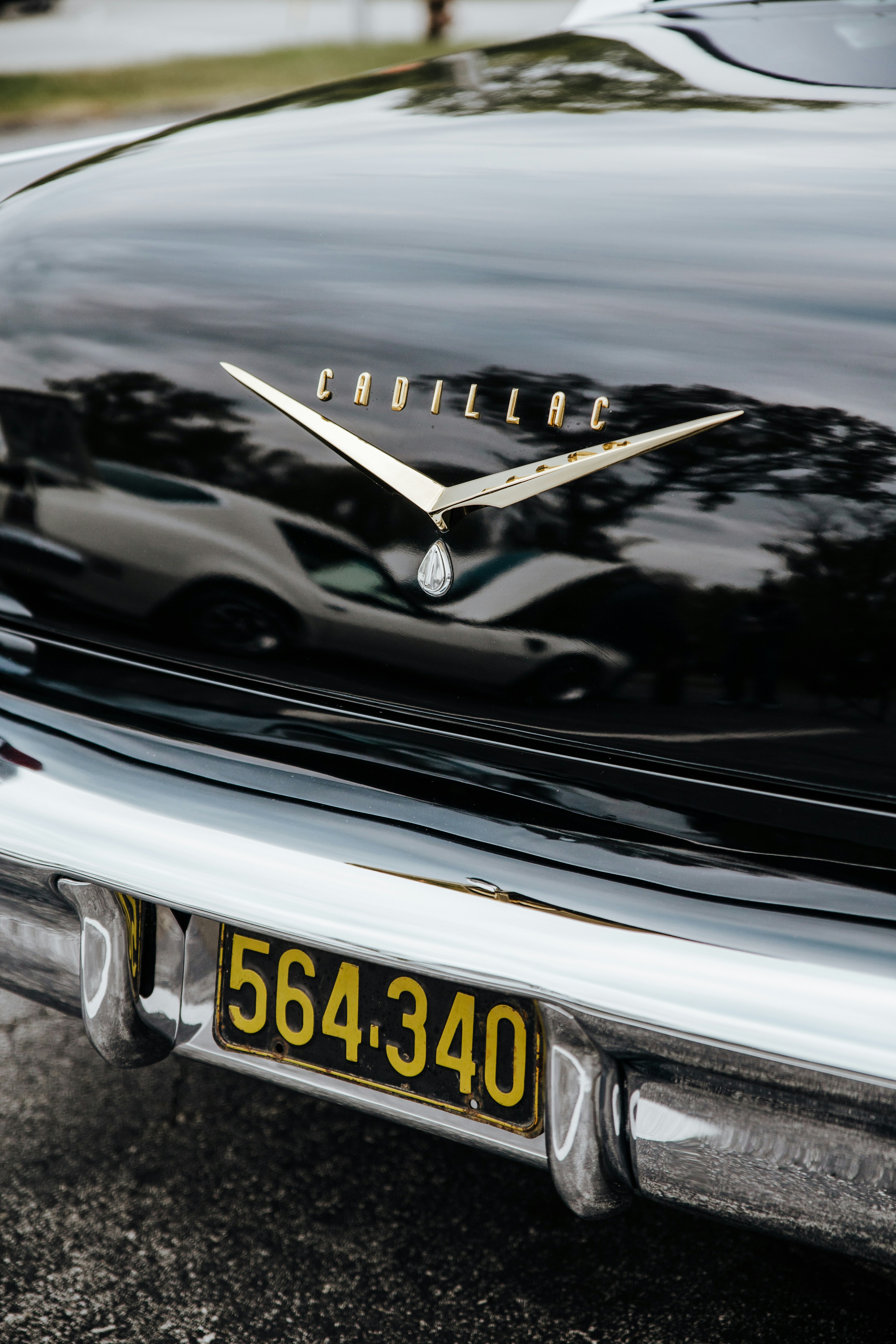 black-car-with-yellow-license-plate