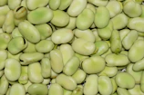 green round fruit in close up photography