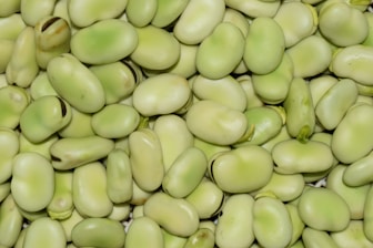 South India Hyacinth Beans and Field Beans Farming and Exporting 
