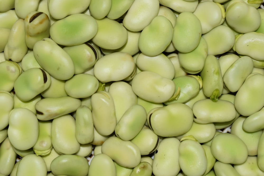 green round fruit in close up photography