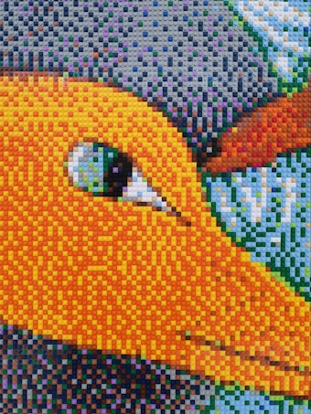 A close-up mosaic of an animal's face, made entirely out of small, colorful Lego pieces. The eye is visible with a mix of greens and blues, while the beak is predominantly orange with gradient tones.