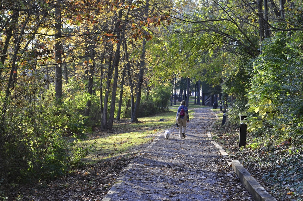 persone che camminano sul sentiero tra gli alberi durante il giorno