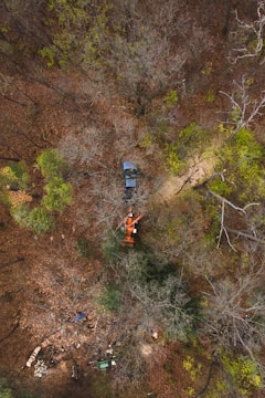 people riding cable cars during daytime