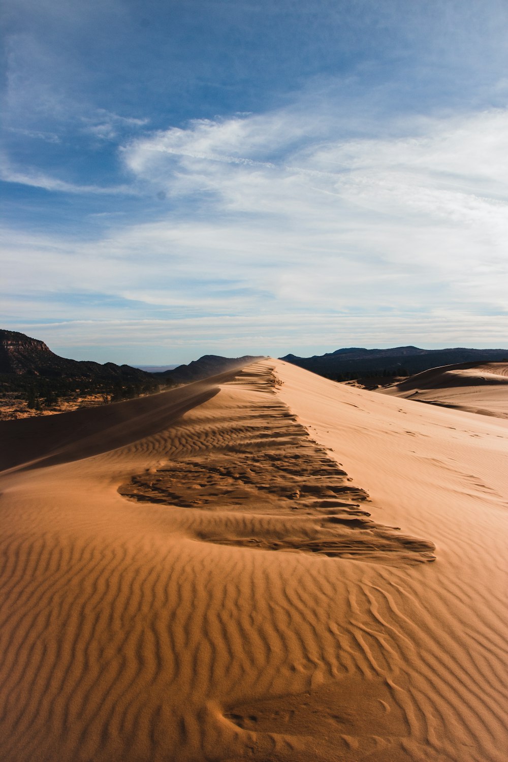 brown sand under blue sky during daytime