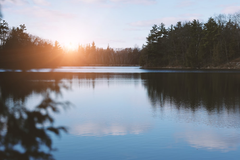 green trees beside body of water during sunset