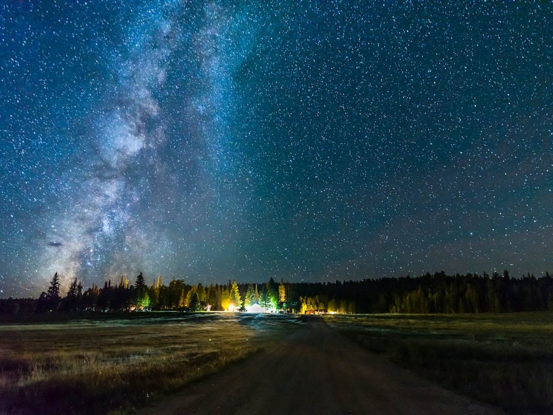 green grass field under starry night