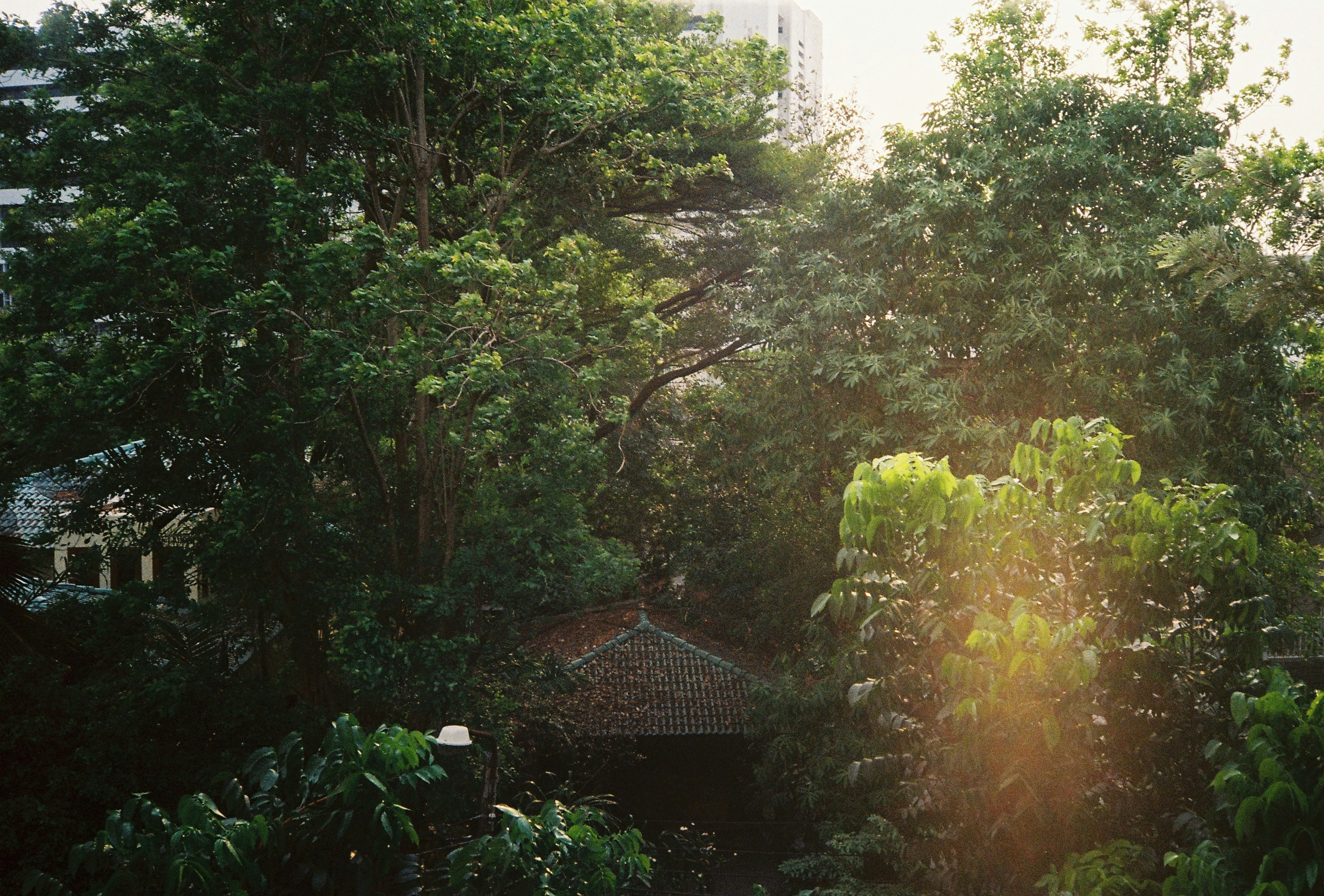 Photo by mattermoment