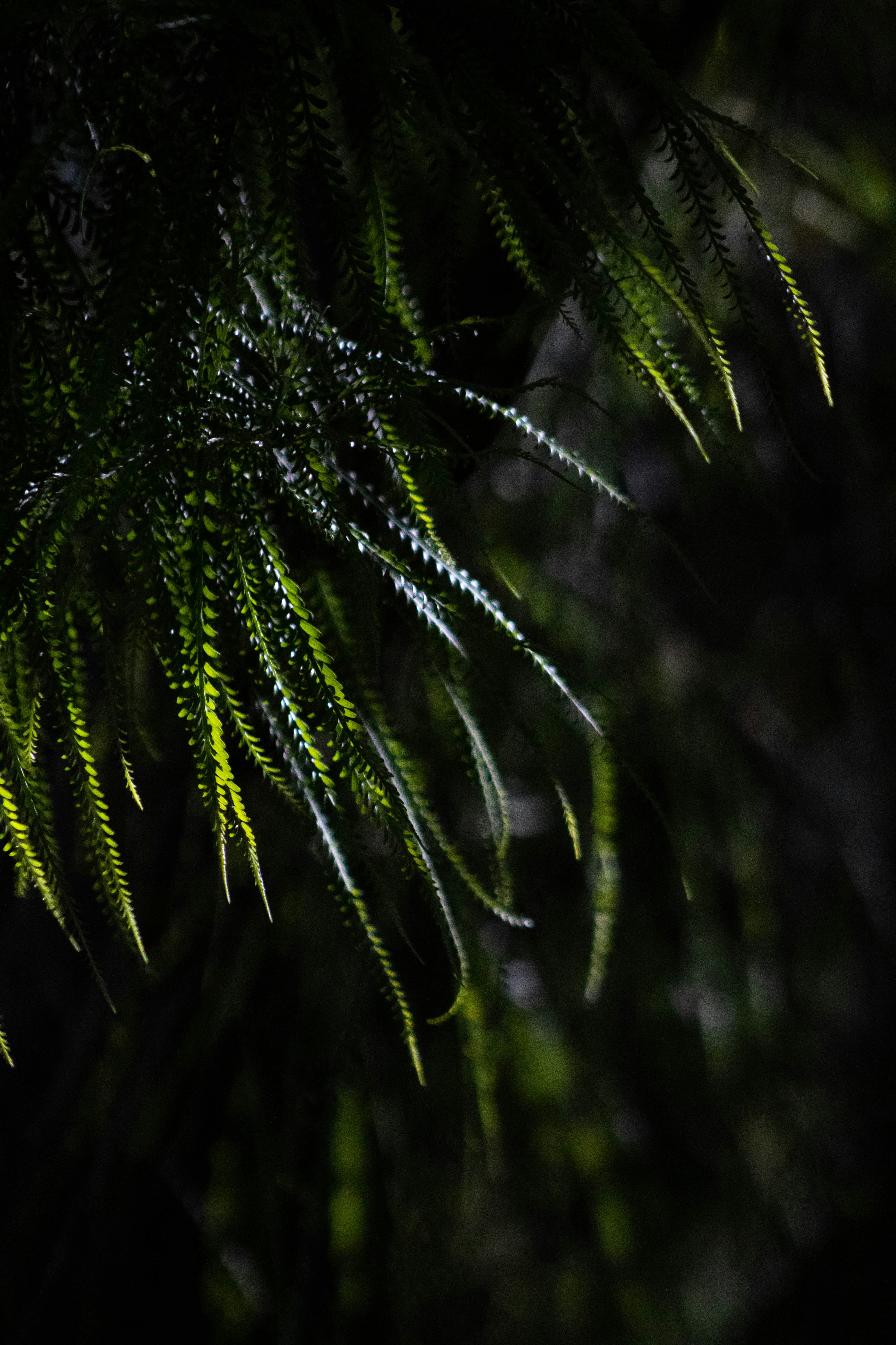 Photo by jeffersonsees