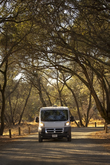 Sprinter vs ducato welcher transporter bessere camper basis — practical guide overview