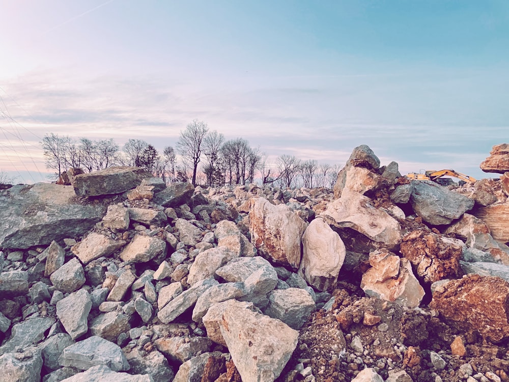 brown and gray rocks near body of water during daytime