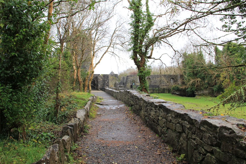 gray pathway between green grass field and trees during daytime