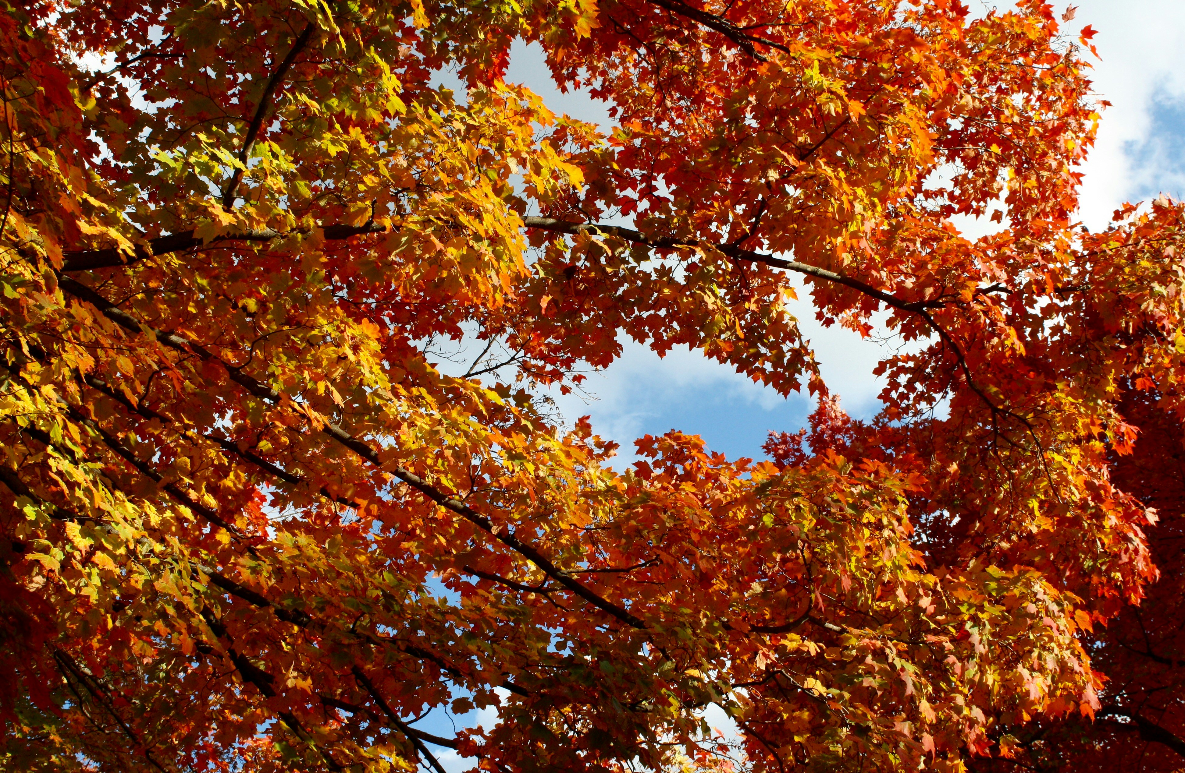 Photo by sandytoes2020