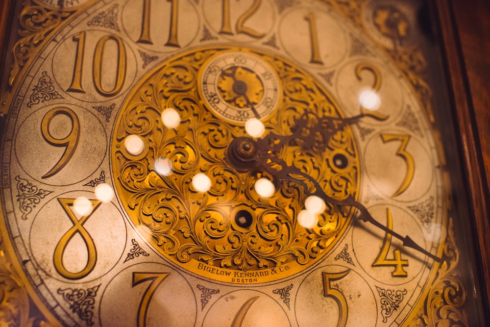 brown and black floral round ceiling