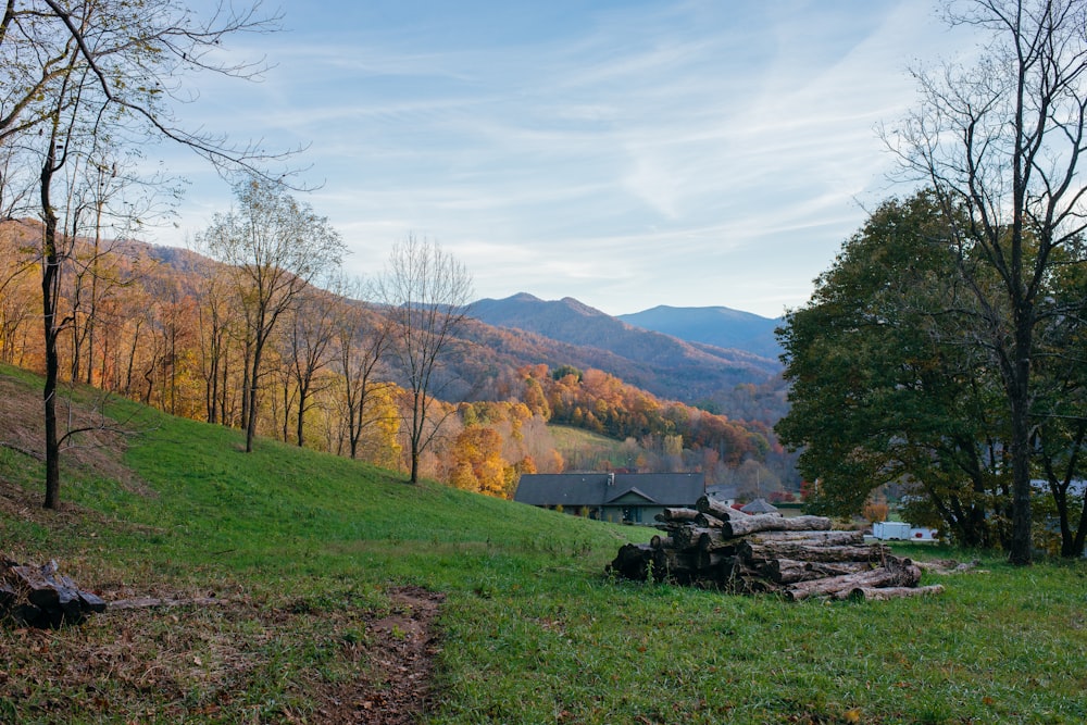 Champ d’herbe verte près des arbres et des montagnes pendant la journée